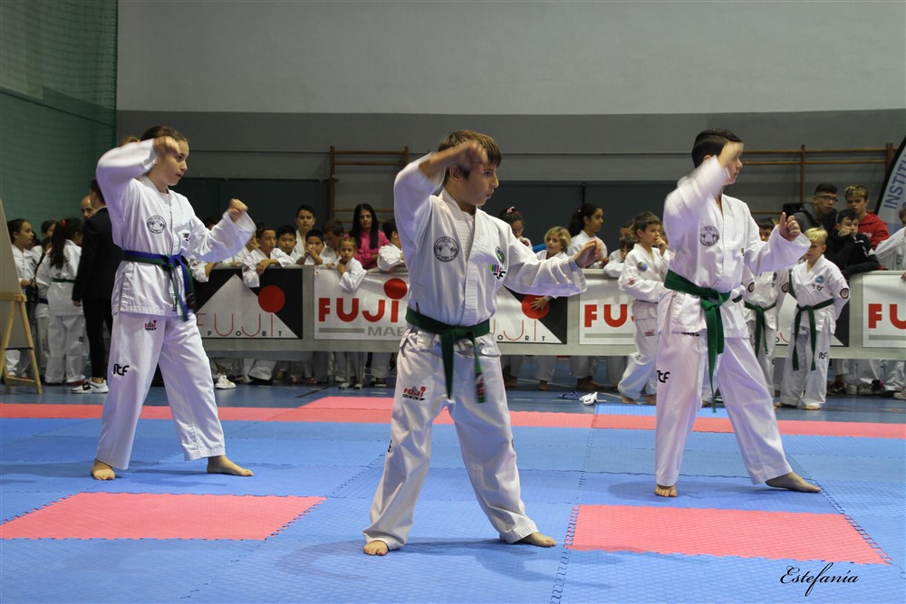 Copa Seul 2018 (300).jpg